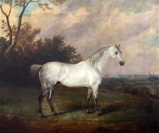 J.W. Webb (19th) Dapple grey horse in a landscape 25 x 31in.